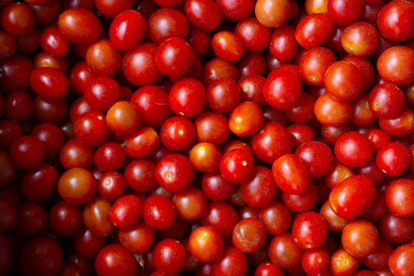 Découvrez l'Art de Déguster des Vins de Qualité sans Vous Ruiner